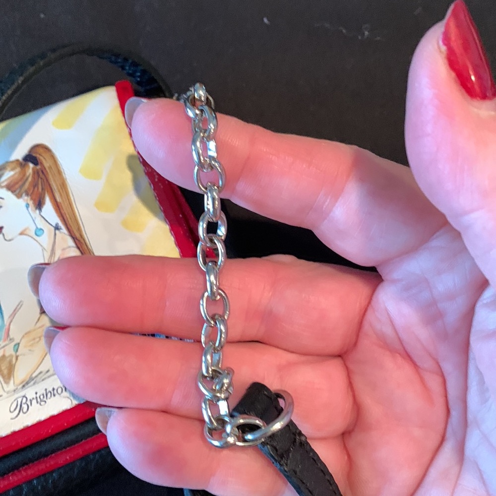 Brighton Mini Crossbody - Picture 13 of 15